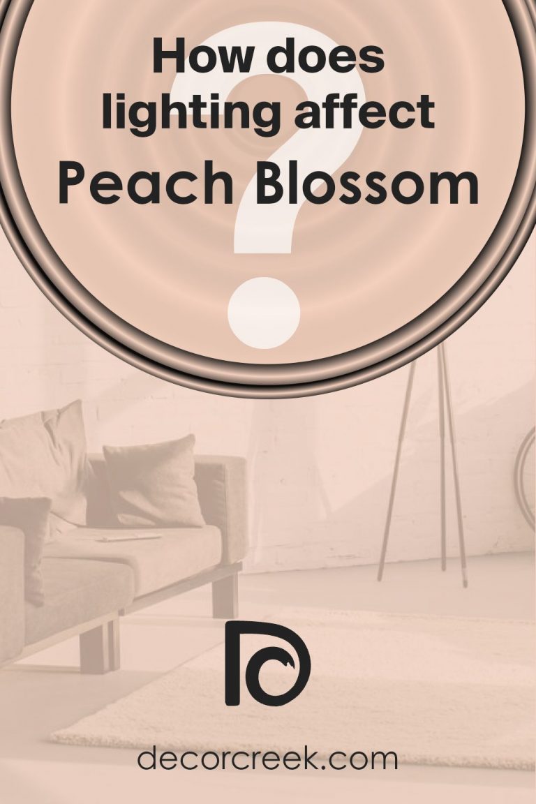 Peach Blossom SW 6624 Paint Color by Sherwin Williams - DecorCreek