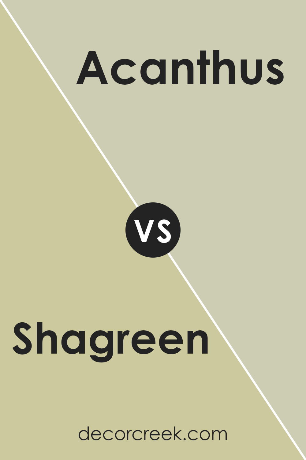 shagreen_sw_6422_vs_acanthus_sw_0029