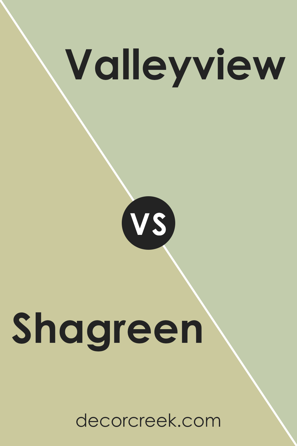 shagreen_sw_6422_vs_valleyview_sw_9673