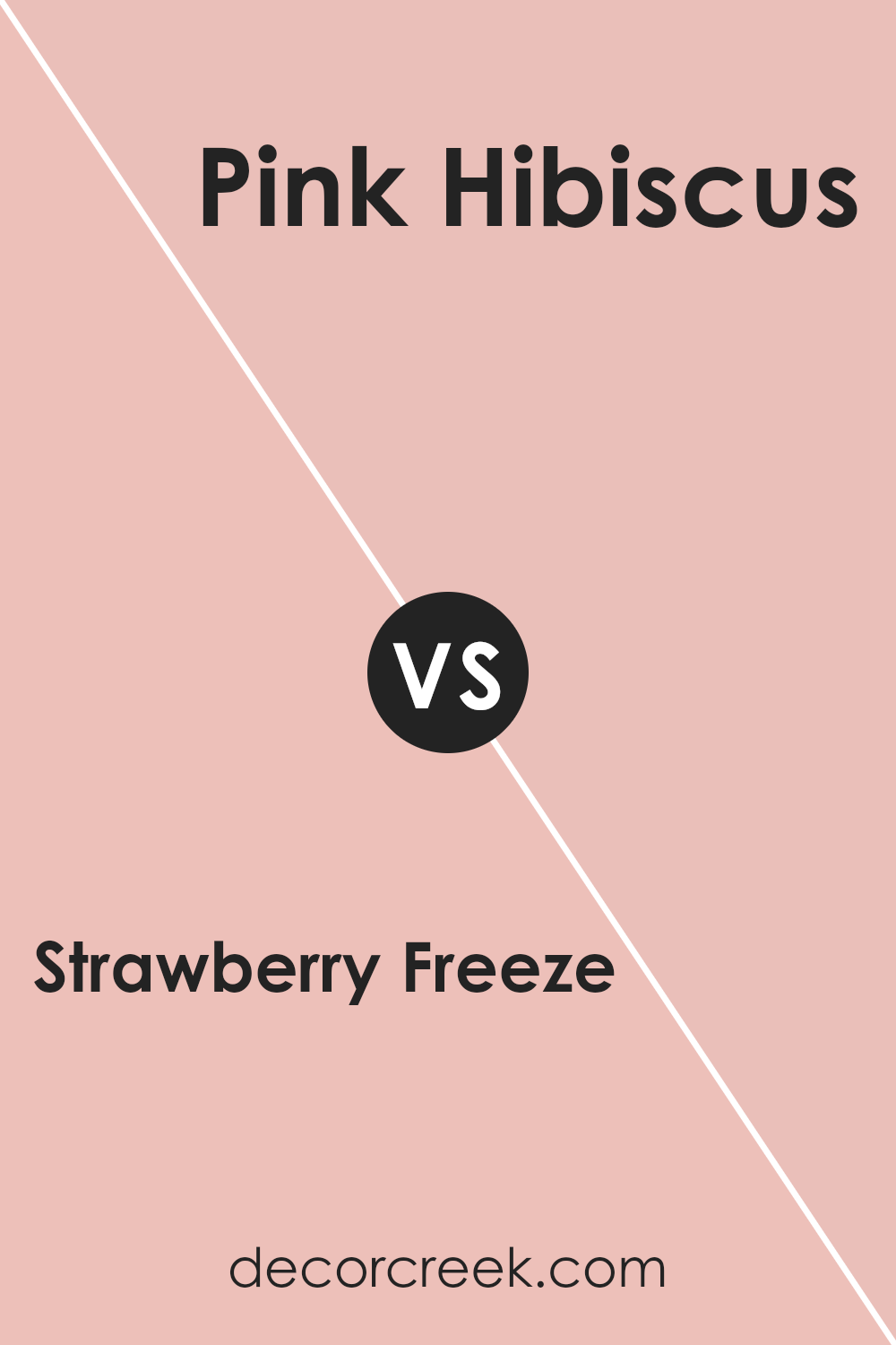 strawberry_freeze_2090_60_vs_pink_hibiscus_2172_60