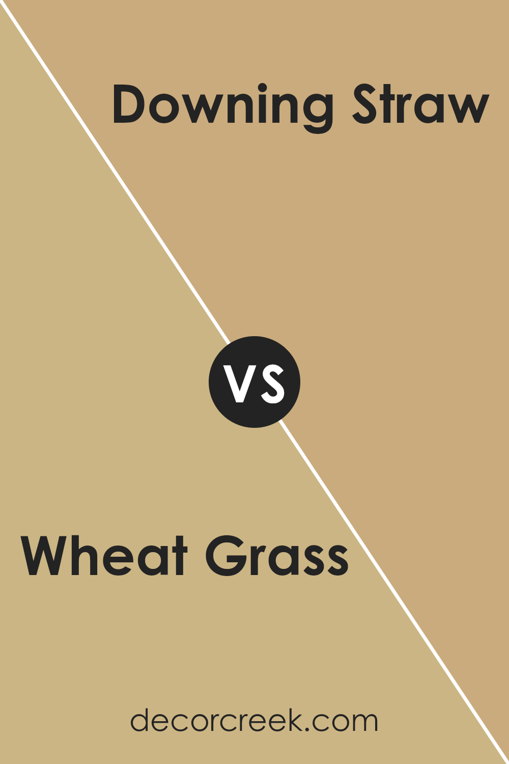 wheat_grass_sw_6408_vs_downing_straw_sw_2813