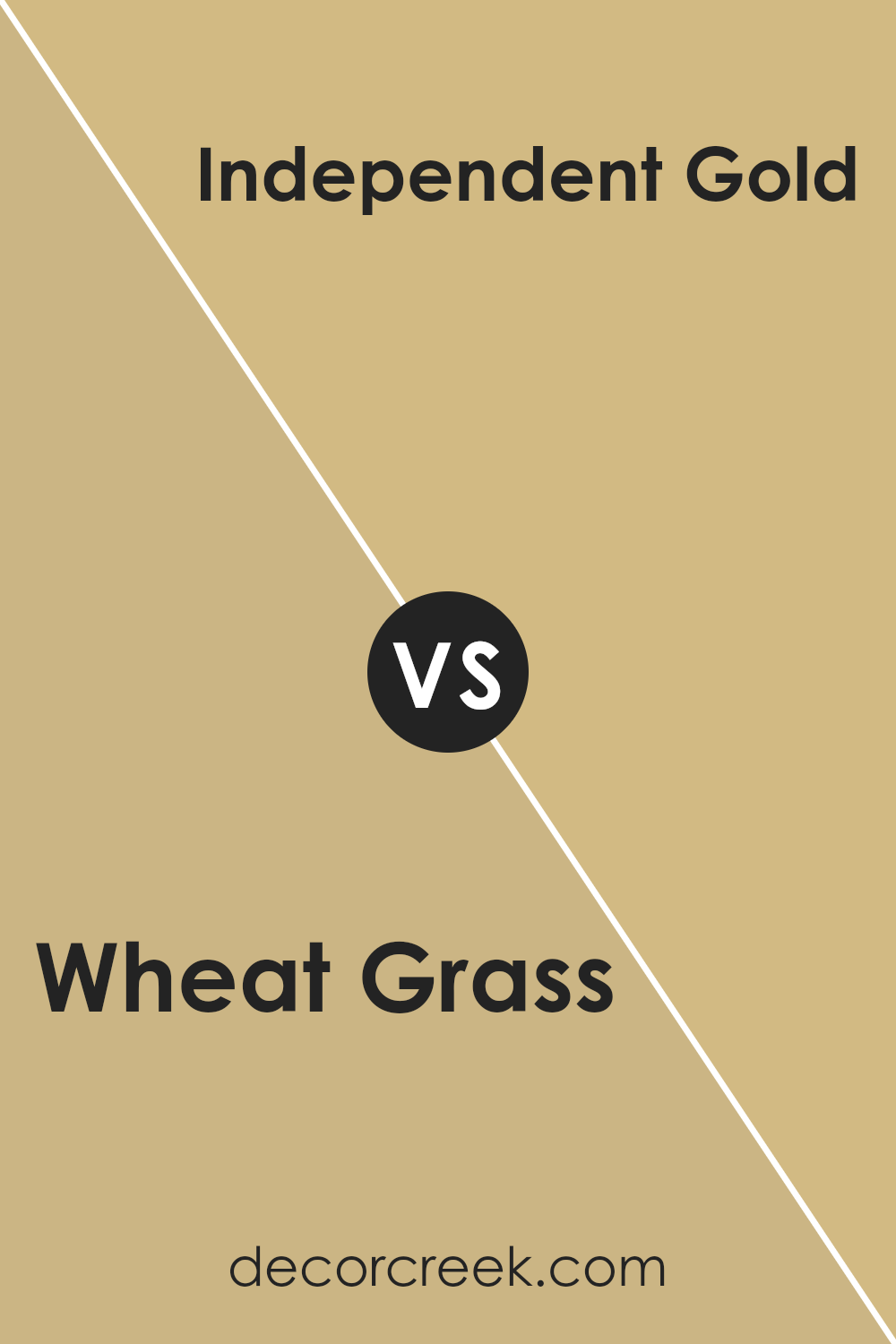 wheat_grass_sw_6408_vs_independent_gold_sw_6401