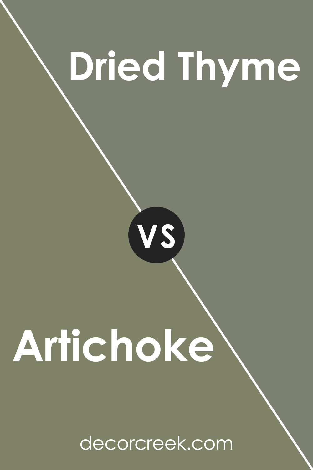 artichoke_sw_6179_vs_dried_thyme_sw_6186