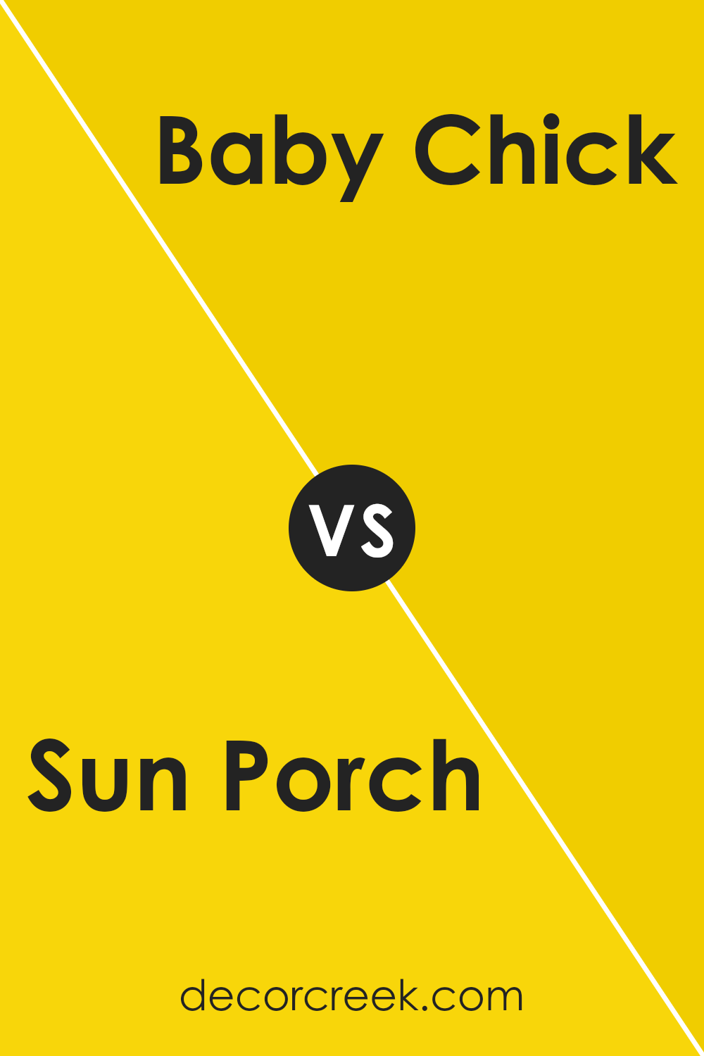 sun_porch_2023_30_vs_baby_chick_2023_20