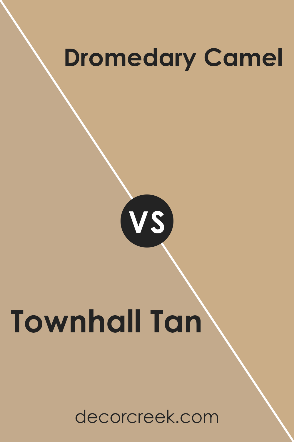 townhall_tan_sw_7690_vs_dromedary_camel_sw_7694