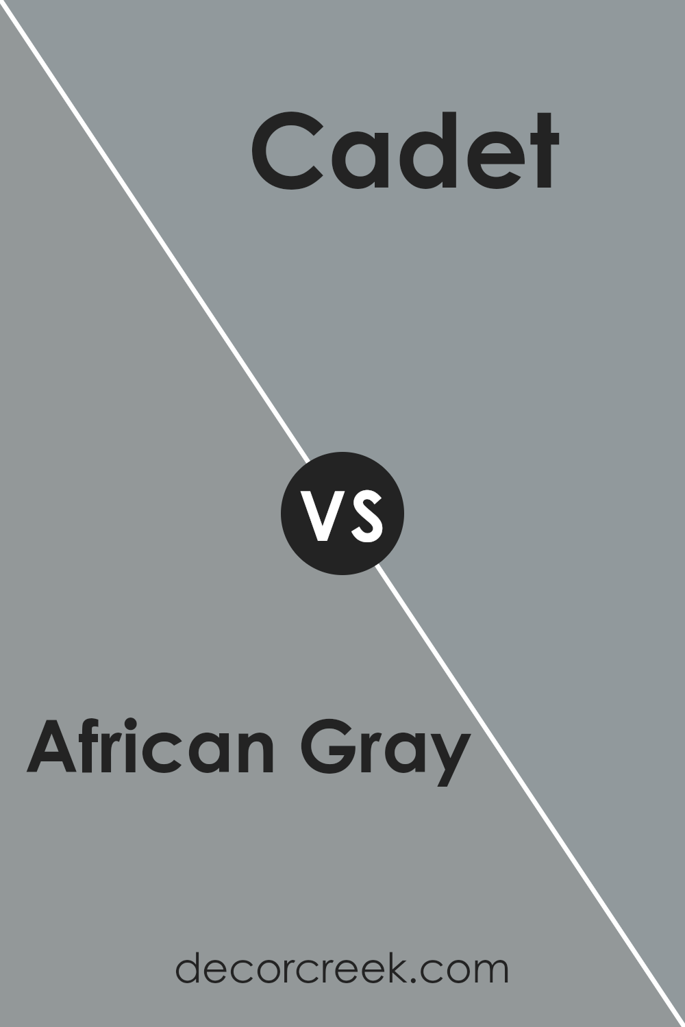 african_gray_sw_9162_vs_cadet_sw_9143