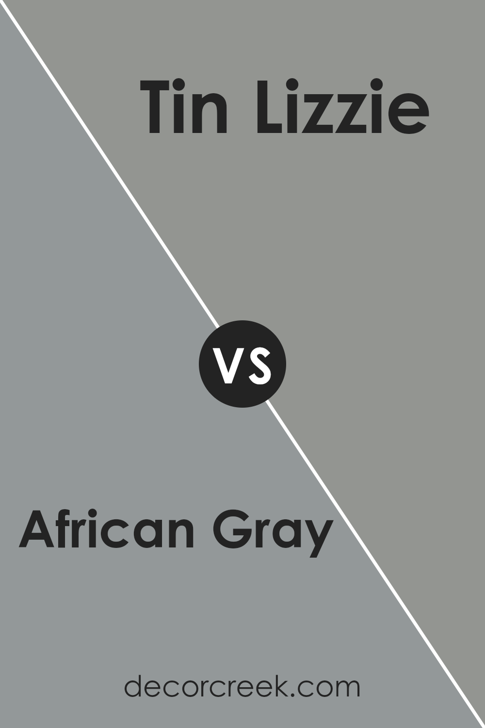 african_gray_sw_9162_vs_tin_lizzie_sw_9163