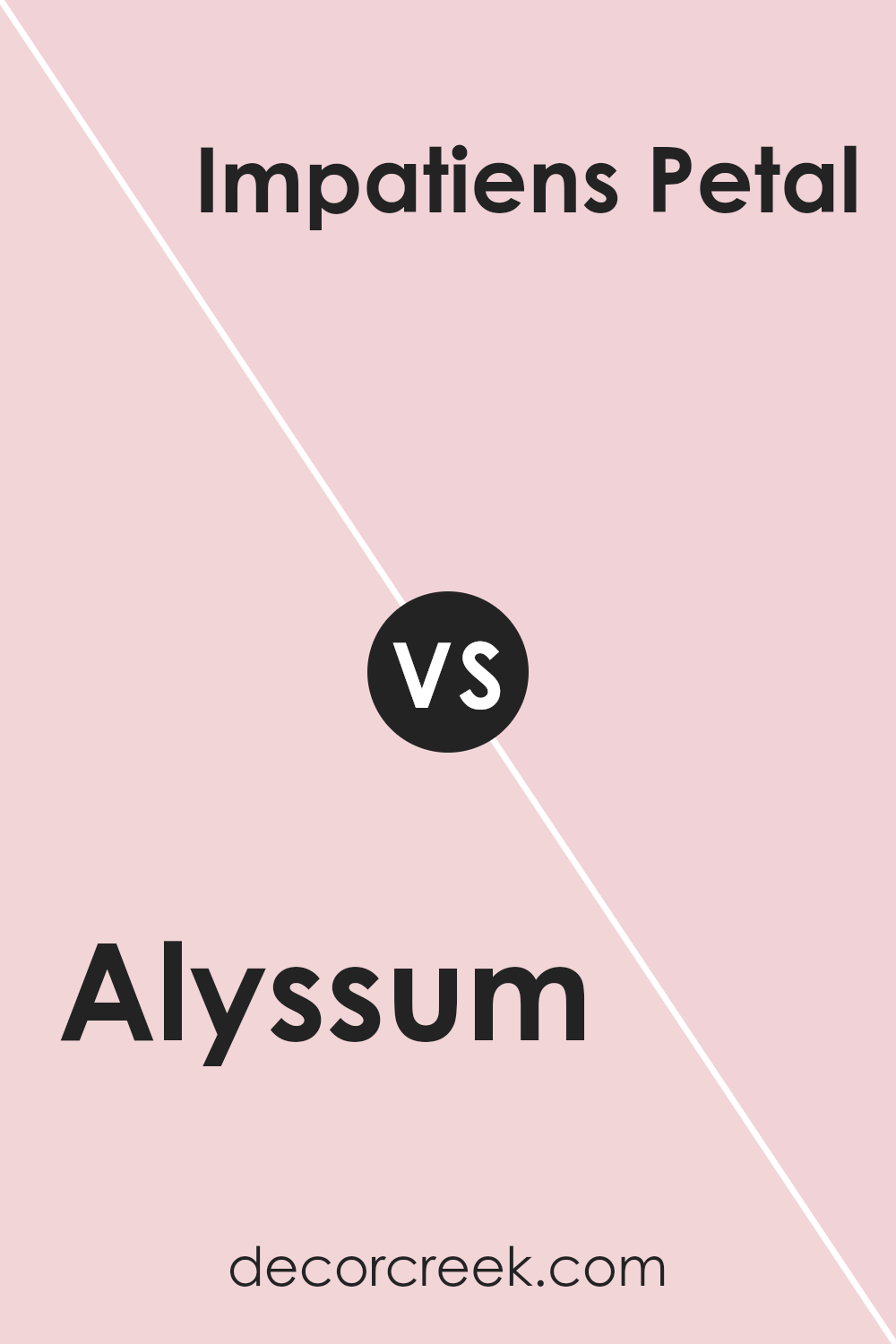 alyssum_sw_6589_vs_impatiens_petal_sw_6582