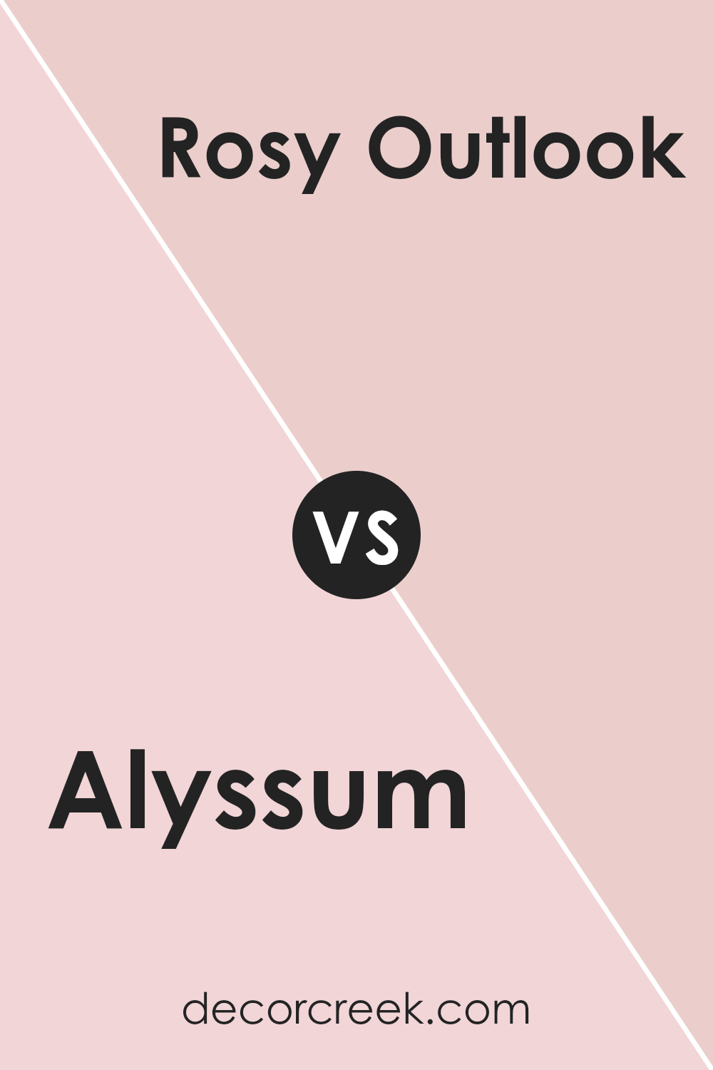 alyssum_sw_6589_vs_rosy_outlook_sw_6316