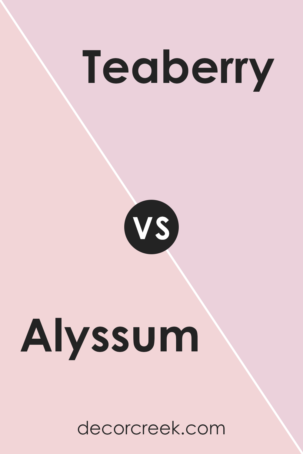 alyssum_sw_6589_vs_teaberry_sw_6561