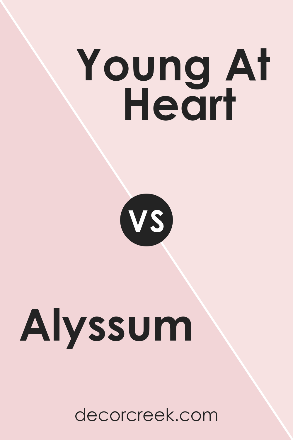 alyssum_sw_6589_vs_young_at_heart_sw_7109