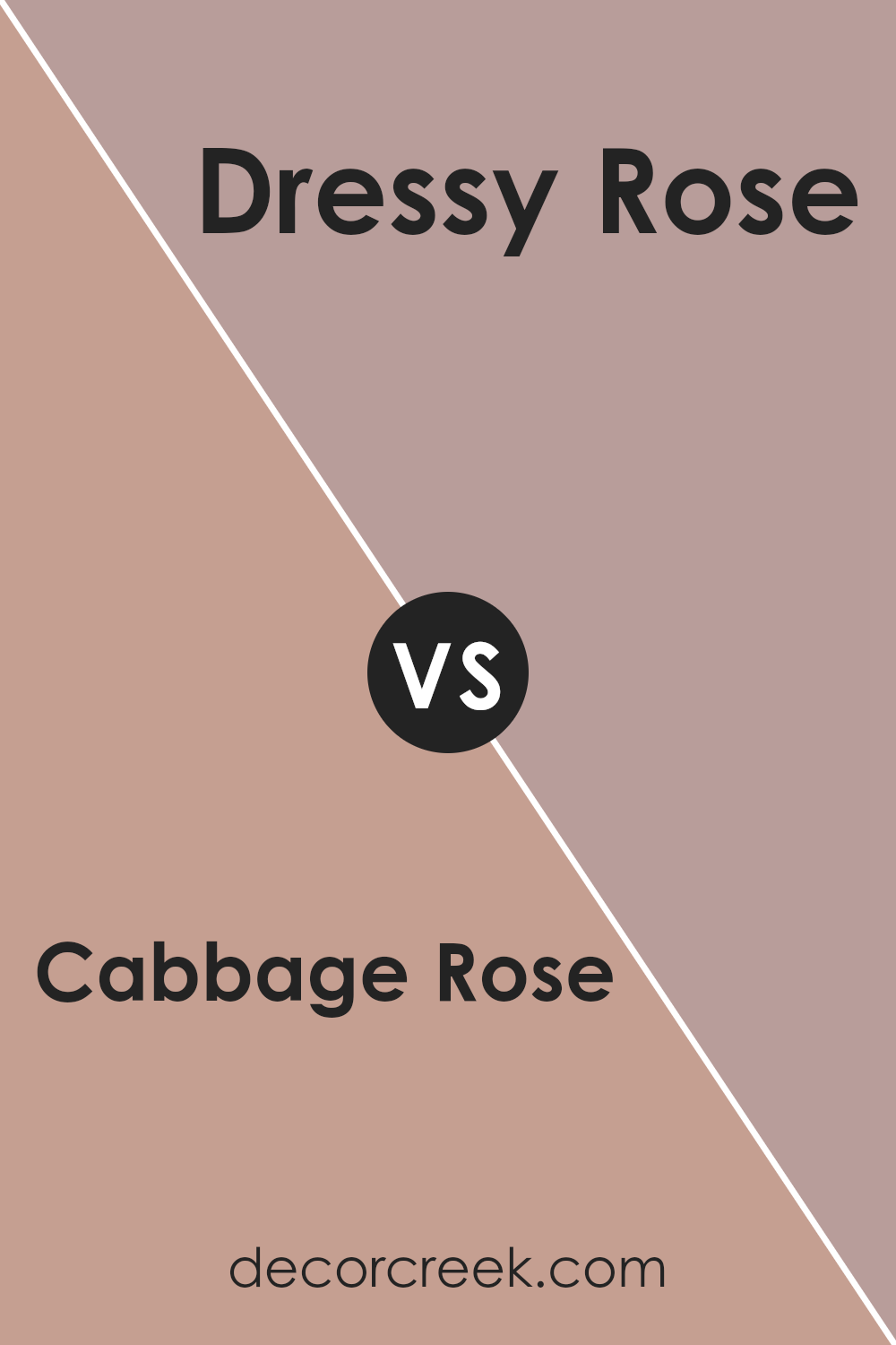 cabbage_rose_sw_0003_vs_dressy_rose_sw_6024