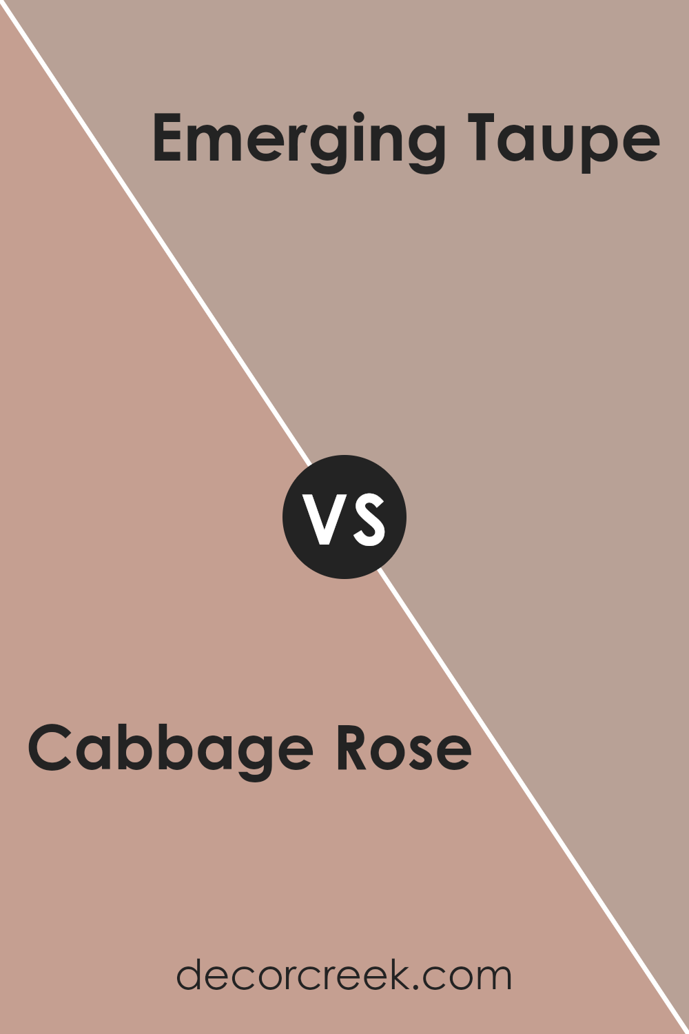 cabbage_rose_sw_0003_vs_emerging_taupe_sw_6045