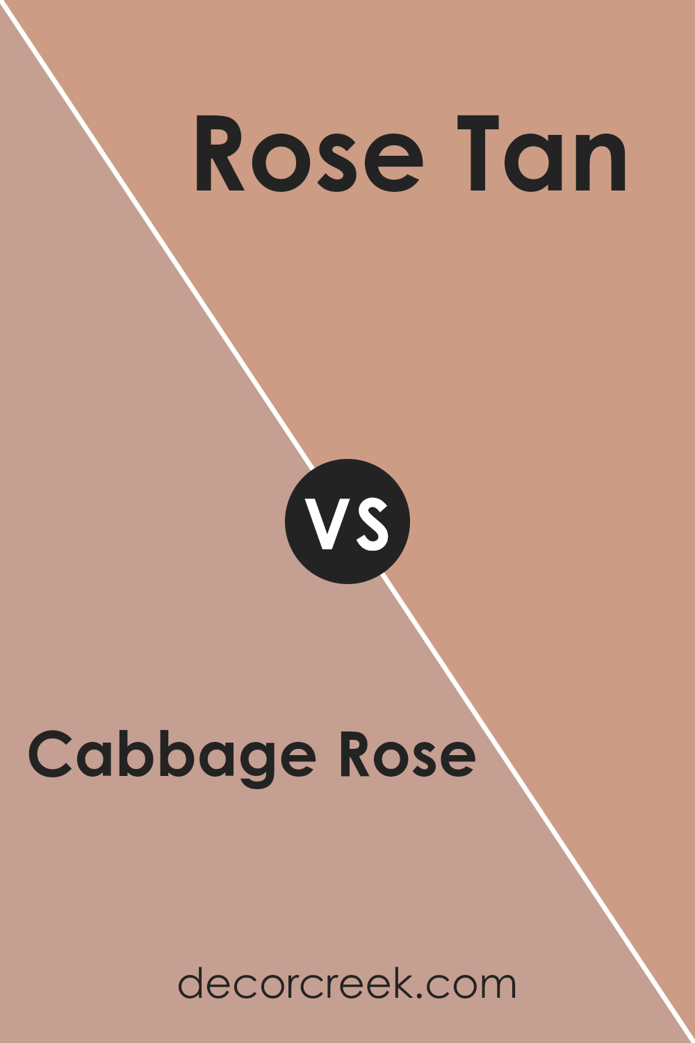 cabbage_rose_sw_0003_vs_rose_tan_sw_0069