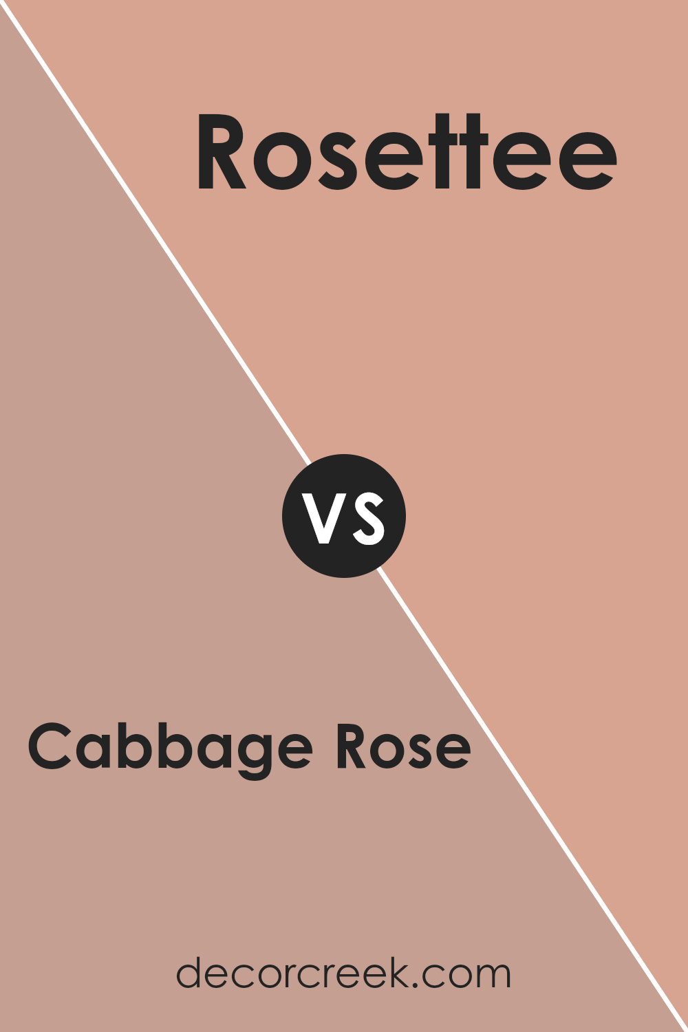 cabbage_rose_sw_0003_vs_rosettee_sw_7581