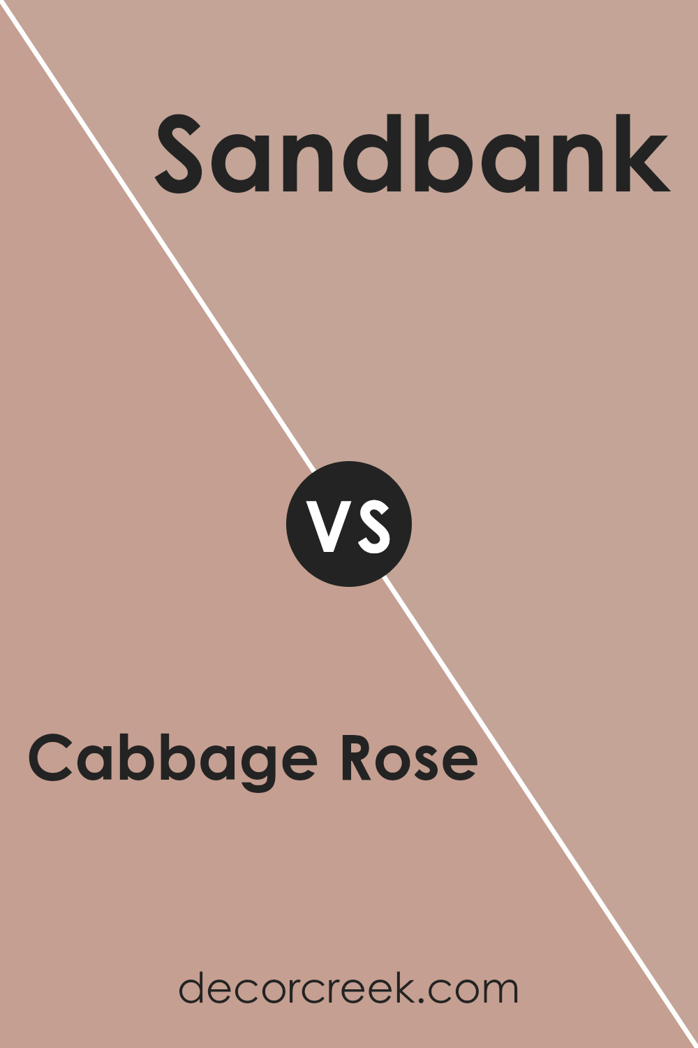 cabbage_rose_sw_0003_vs_sandbank_sw_6052