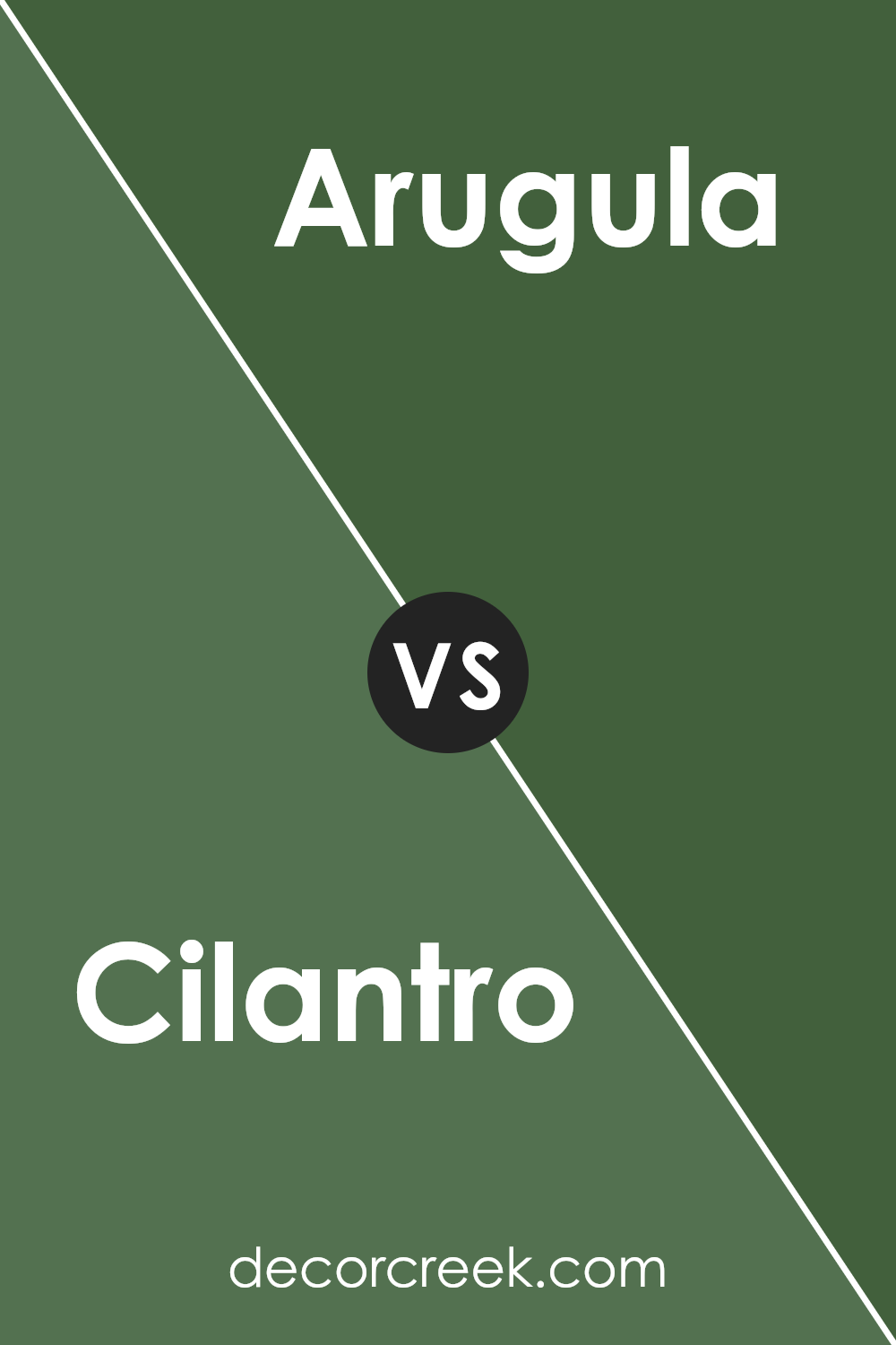 cilantro_sw_6453_vs_arugula_sw_6446