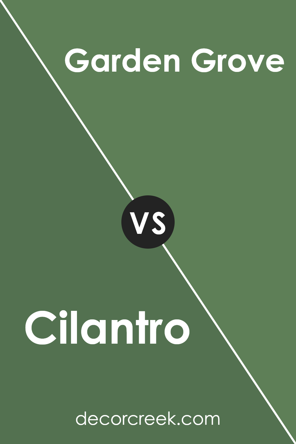 cilantro_sw_6453_vs_garden_grove_sw_6445