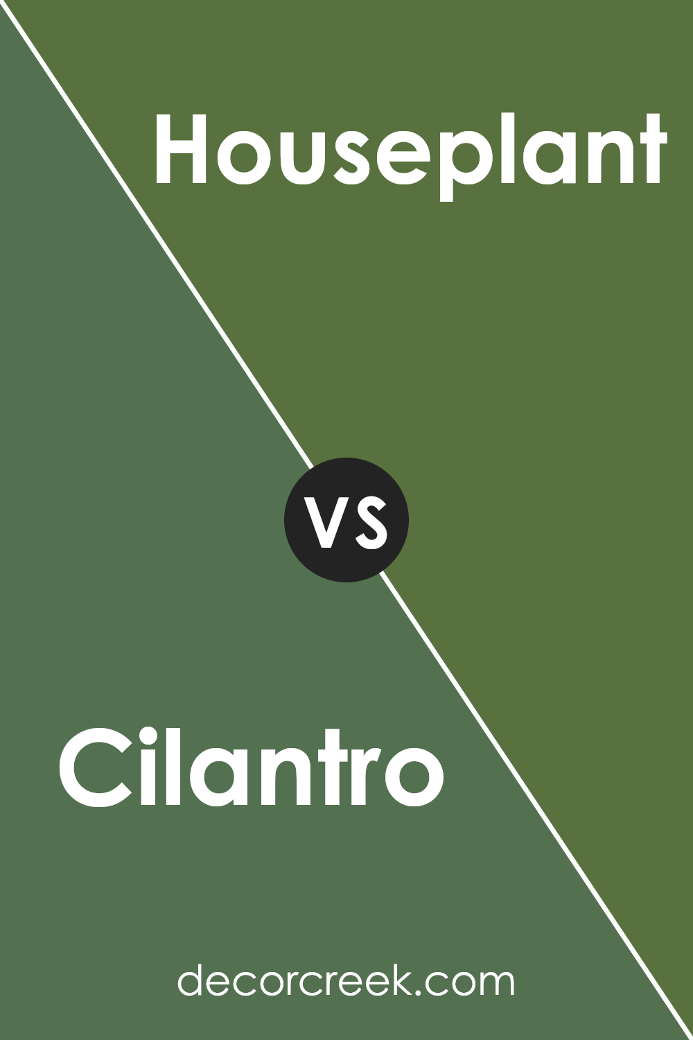 cilantro_sw_6453_vs_houseplant_sw_6727