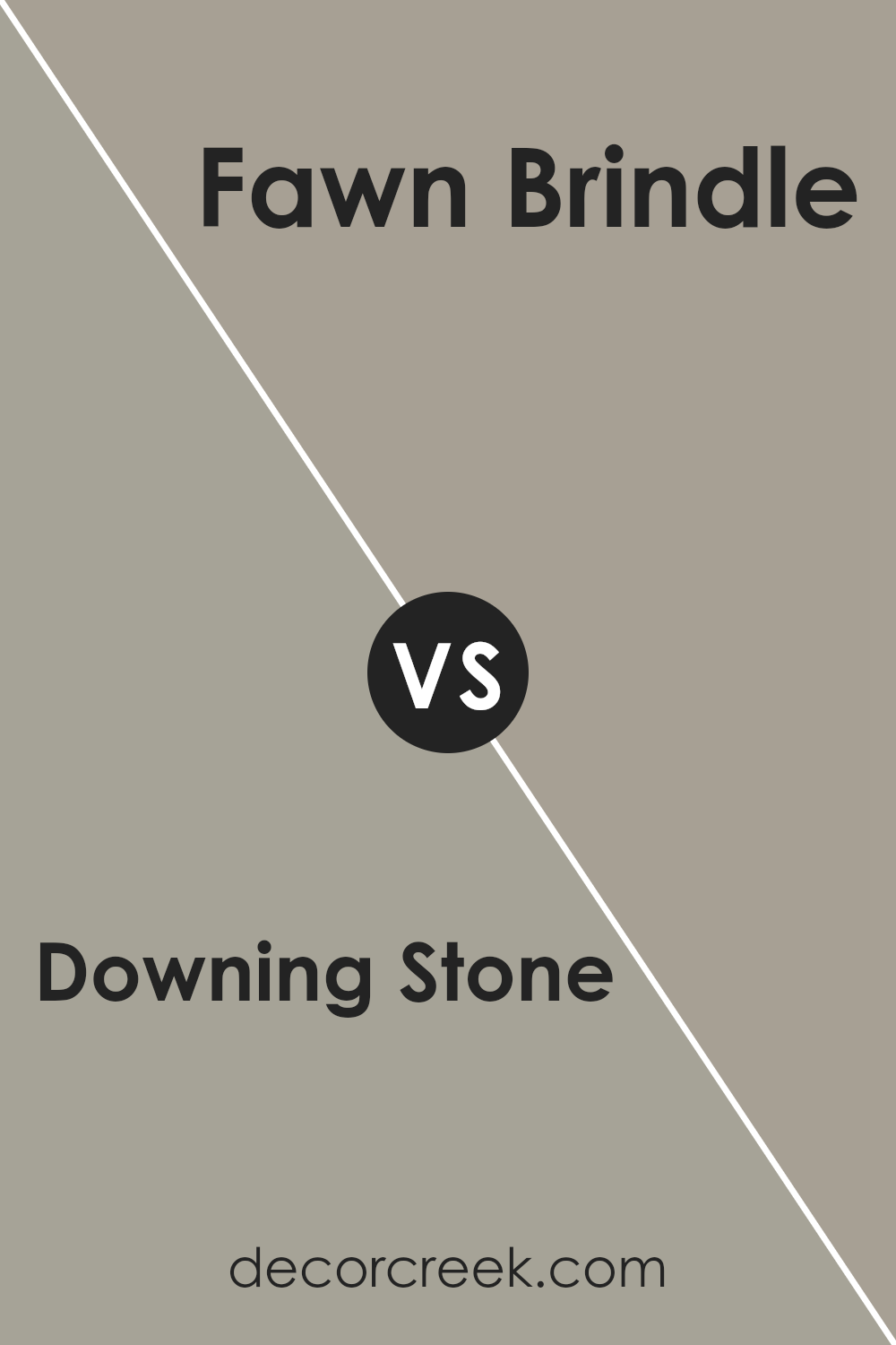 downing_stone_sw_2821_vs_fawn_brindle_sw_7640