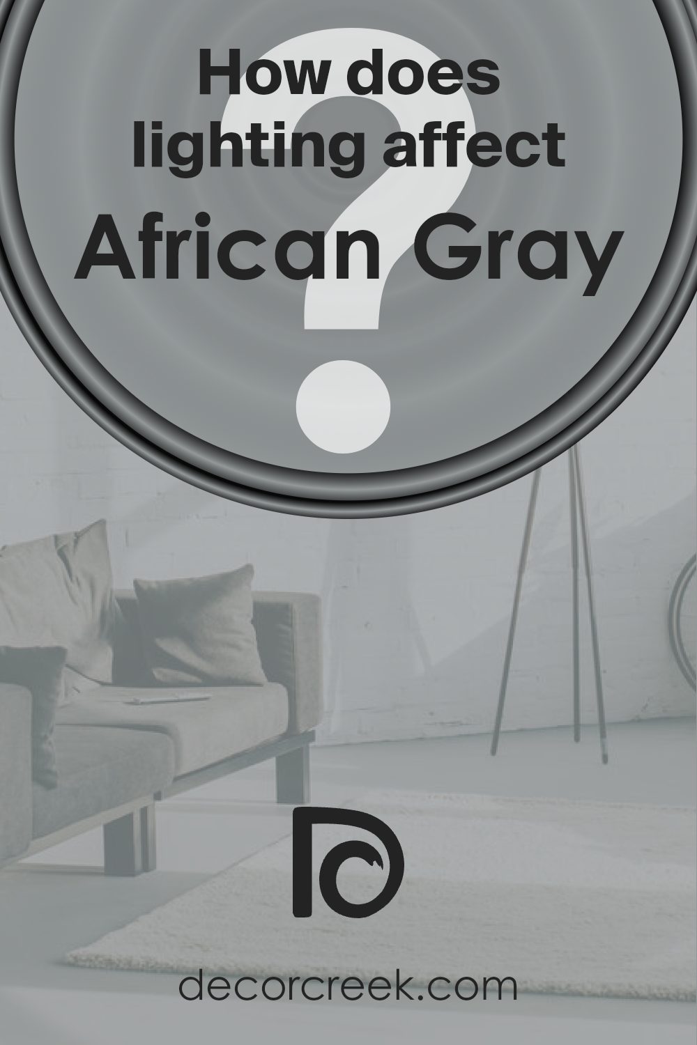 how_does_lighting_affect_african_gray_sw_9162