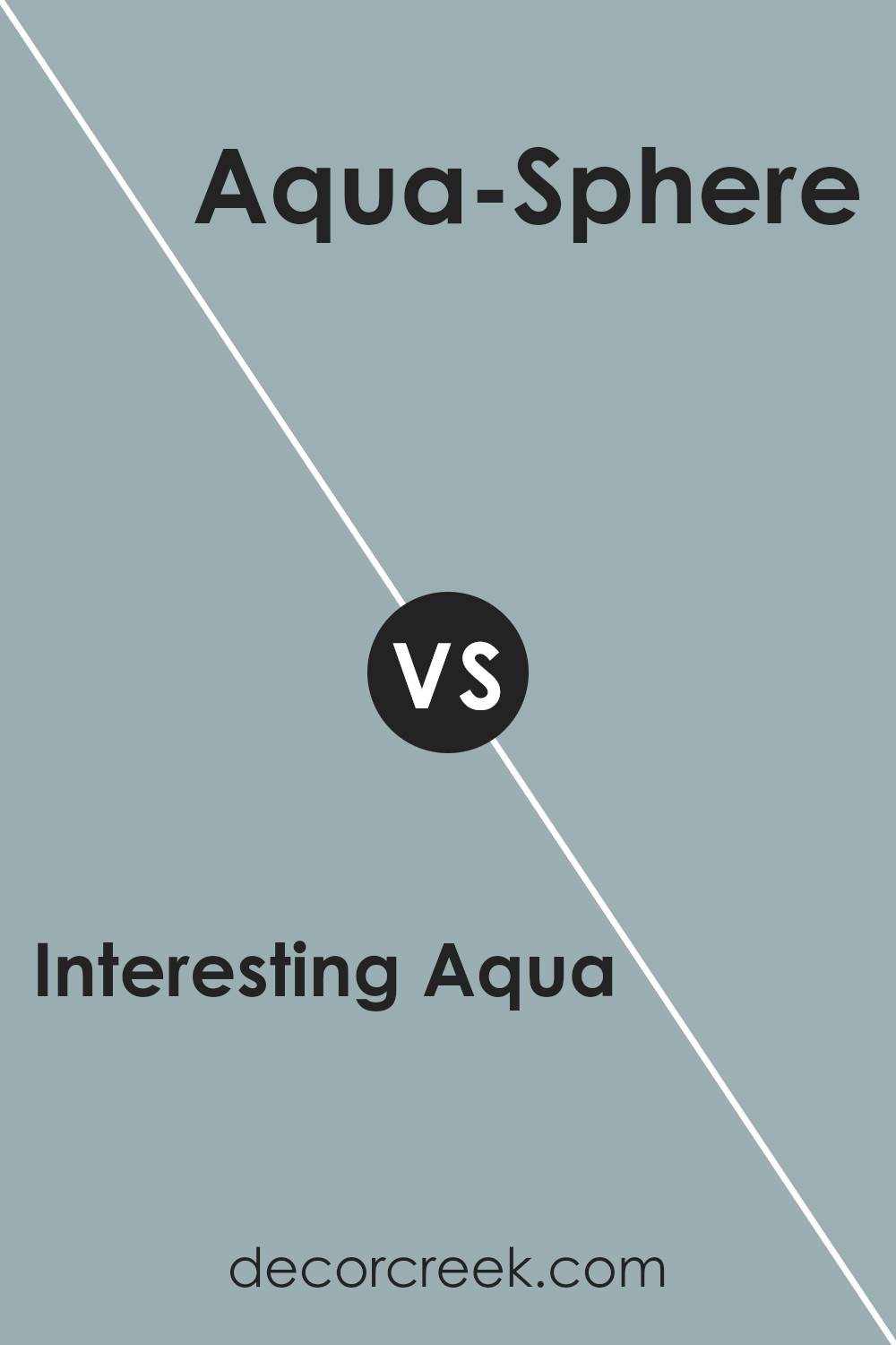 interesting_aqua_sw_6220_vs_aqua_sphere_sw_7613