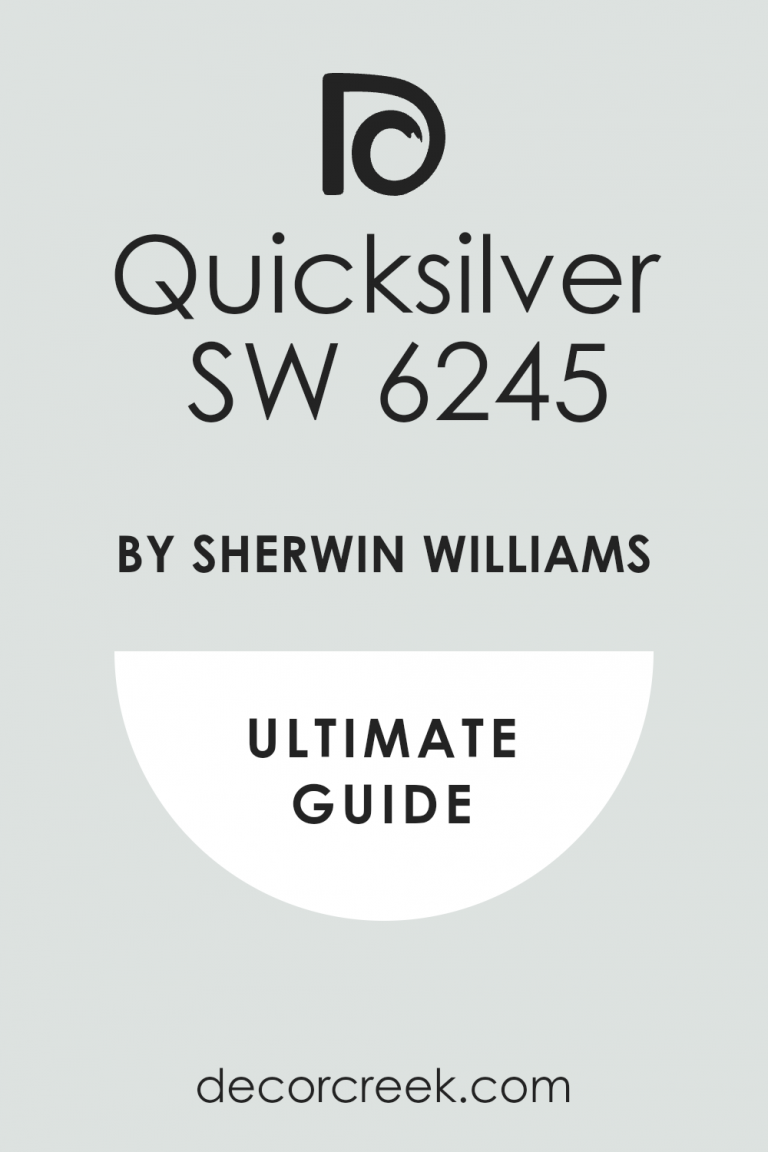Quicksilver SW 6245 Paint Color by Sherwin Williams - DecorCreek