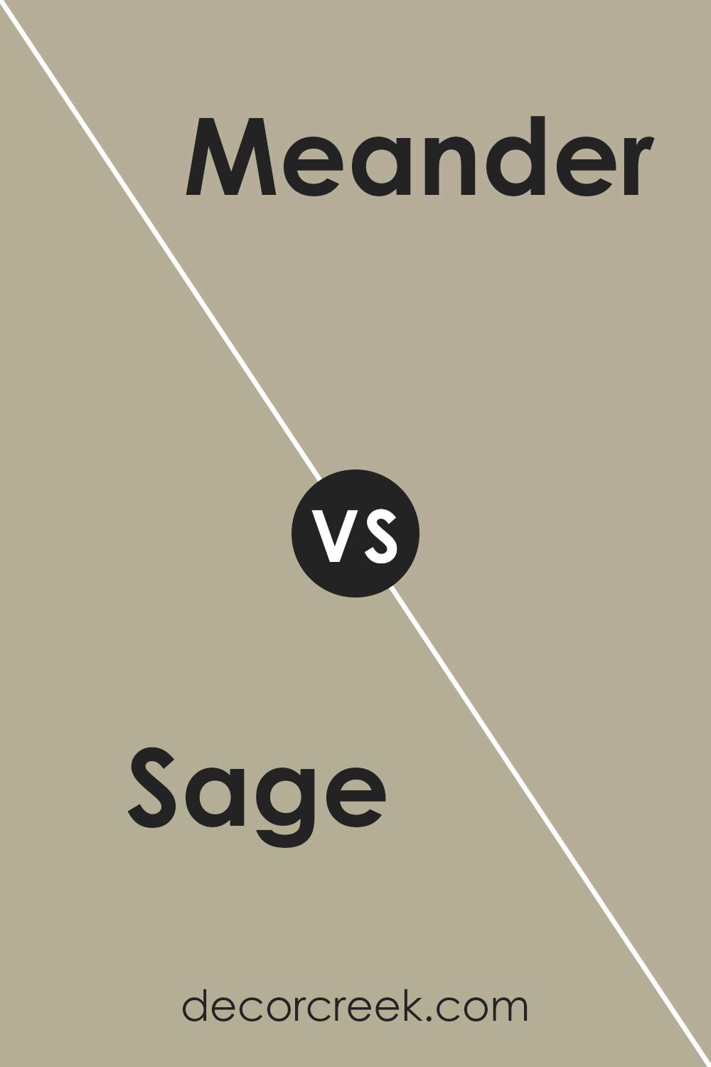 sage_sw_2860_vs_meander_sw_9522