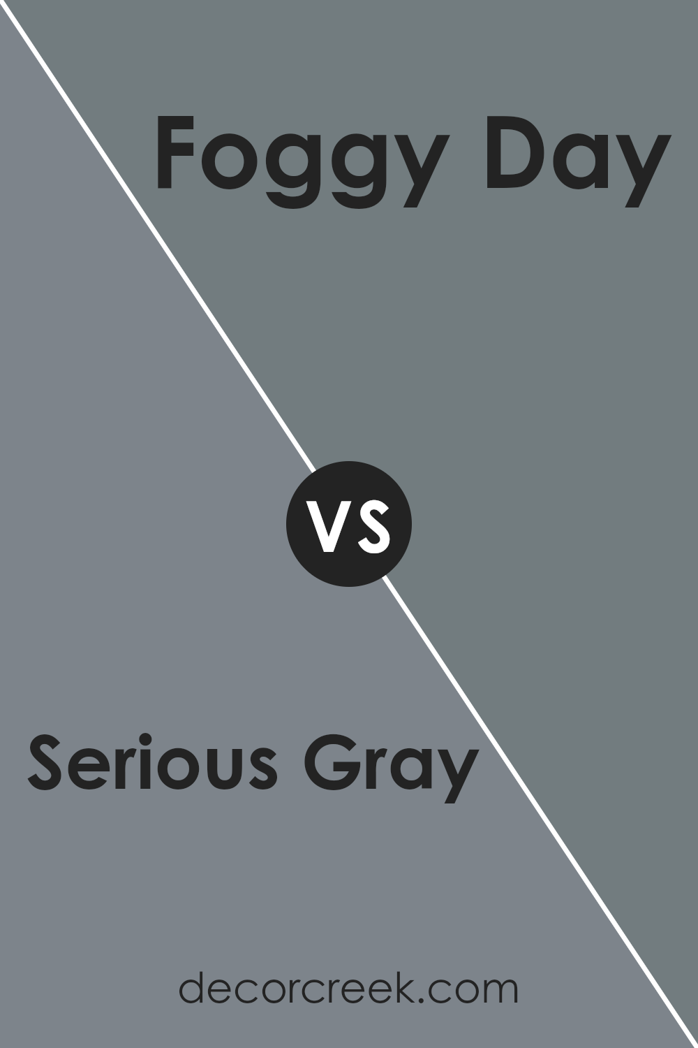 serious_gray_sw_6256_vs_foggy_day_sw_6235