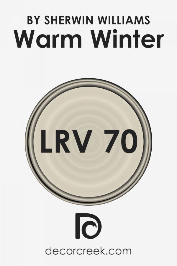 Warm Winter SW 9506 Paint Color by Sherwin Williams - DecorCreek