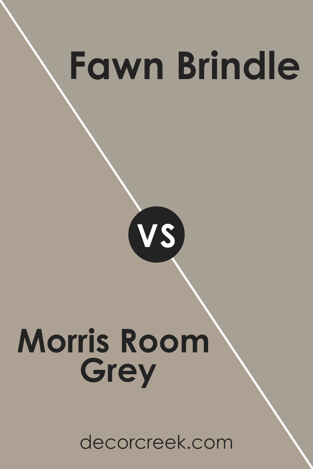 morris_room_grey_sw_0037_vs_fawn_brindle_sw_7640
