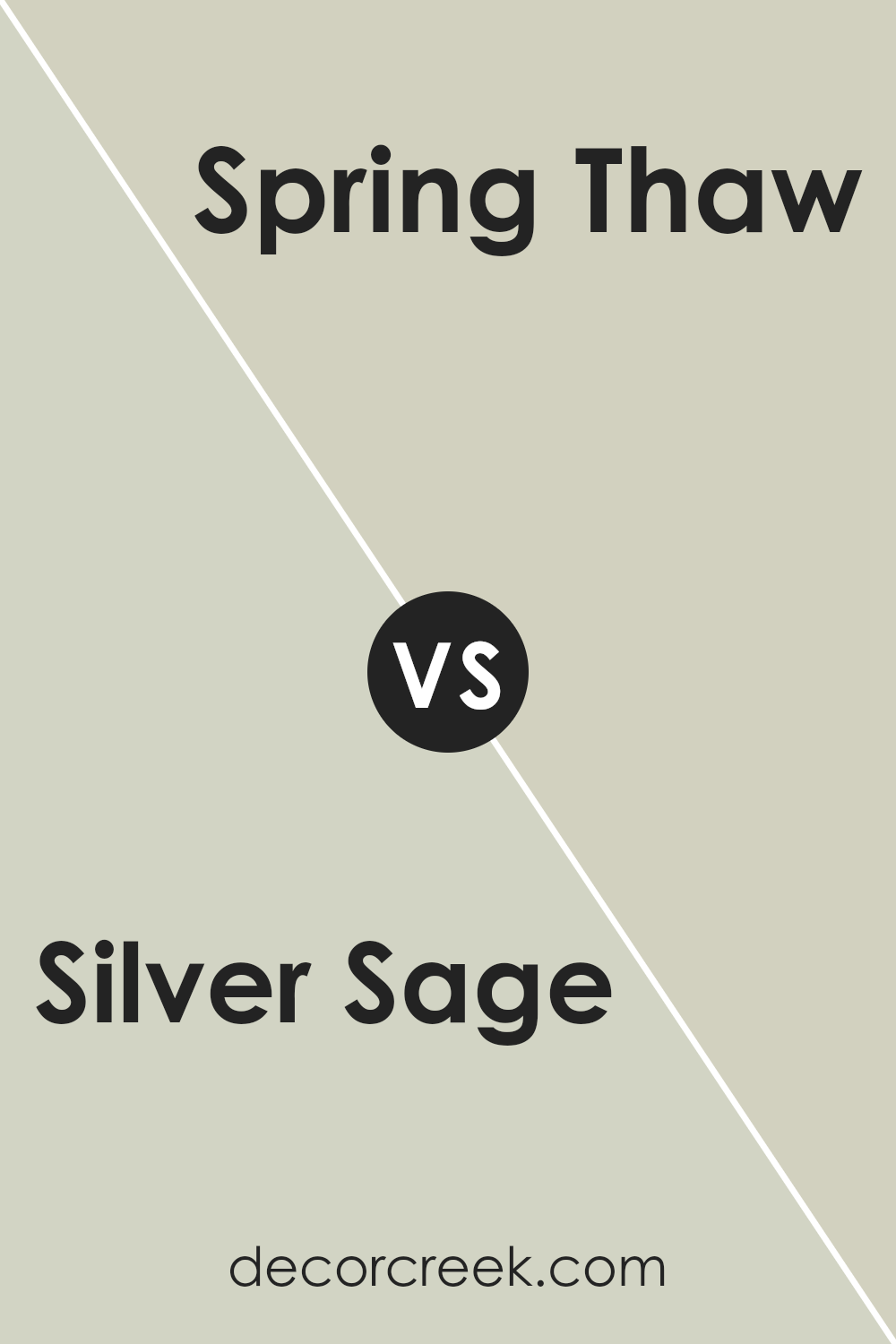 silver_sage_506_vs_spring_thaw_1508