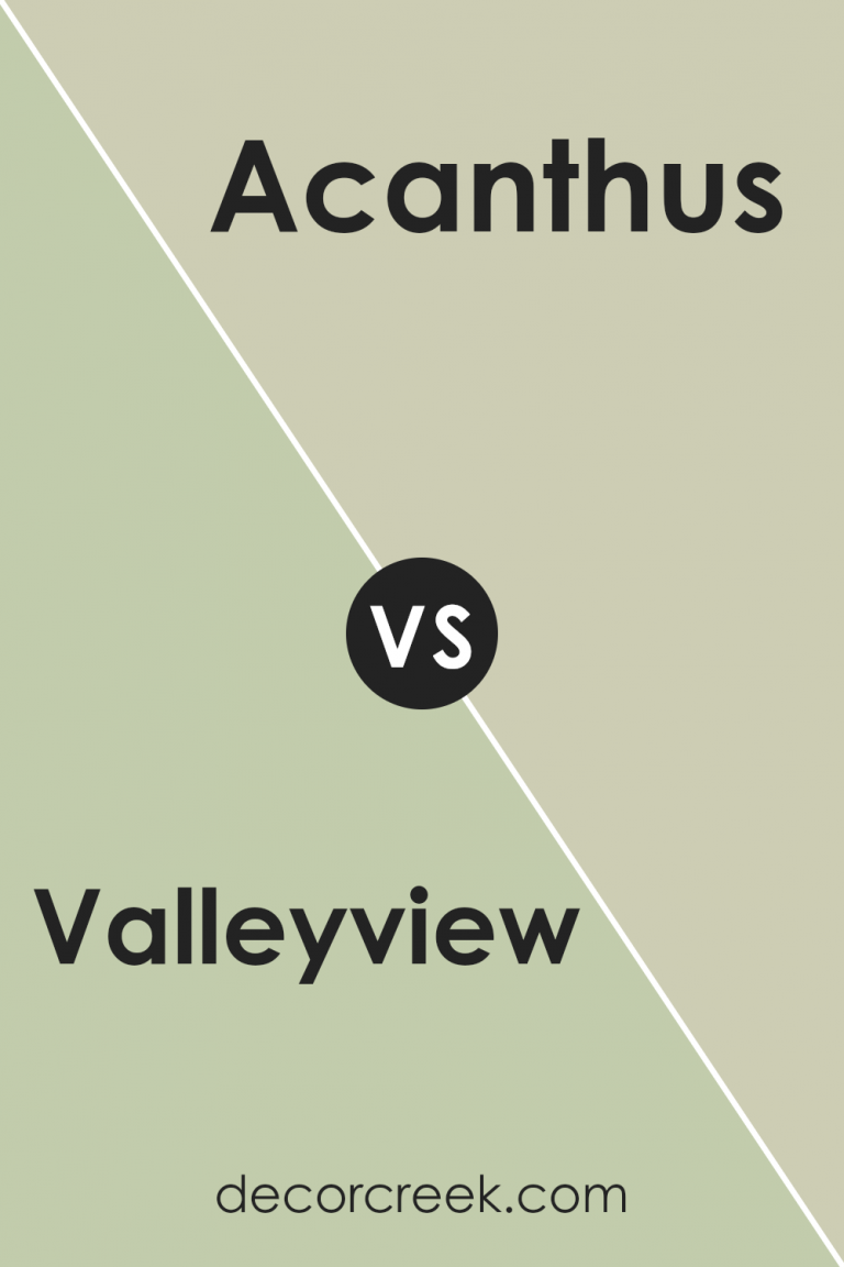 Valleyview SW 9673 Paint Color by Sherwin Williams - DecorCreek