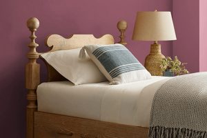 Aged Wine SW 6299 Paint Color by Sherwin Williams