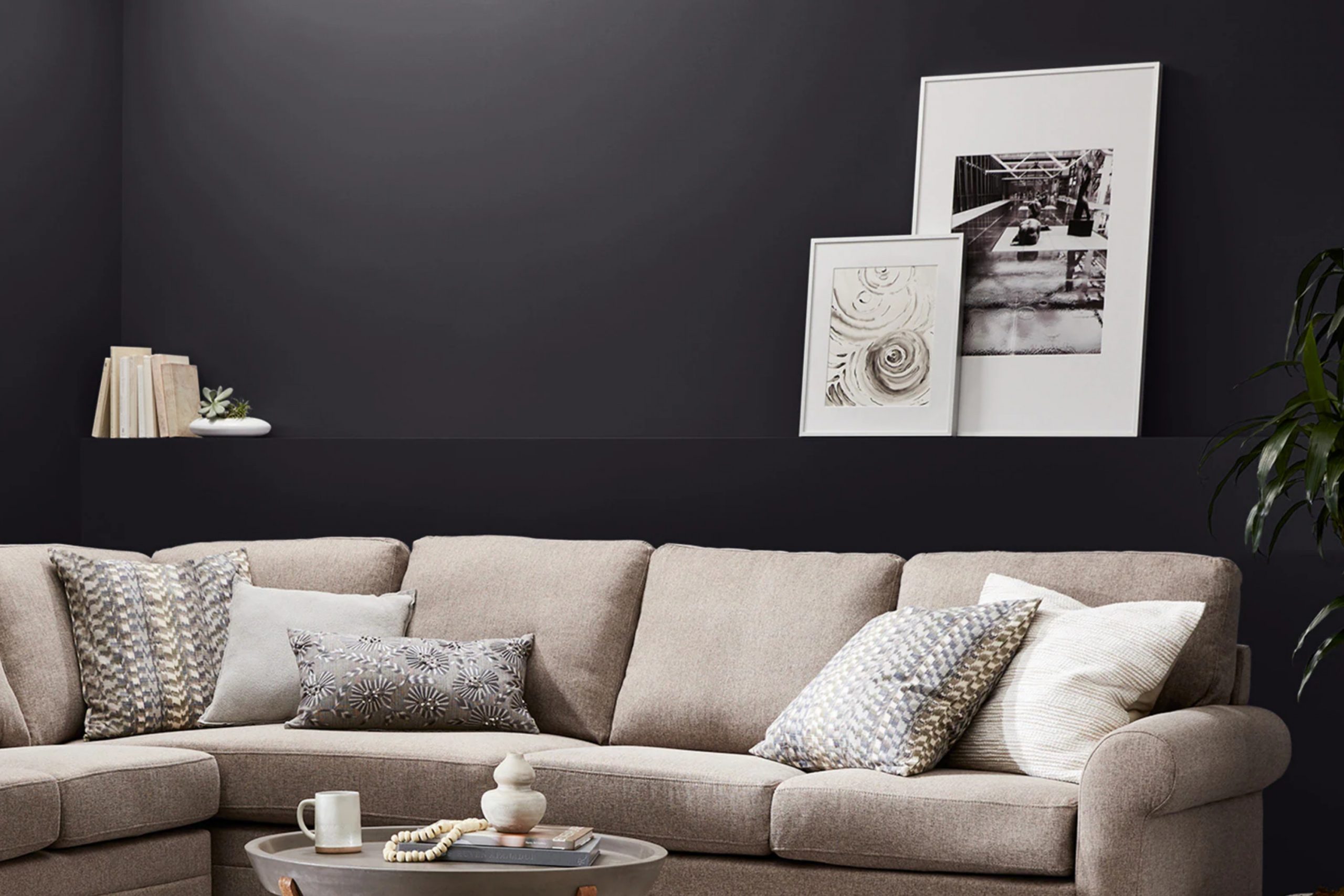 Domino SW 6989 Paint Color by Sherwin Williams
