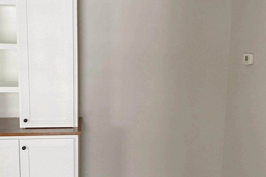 Mercurial SW 9550 Paint Color by Sherwin Williams