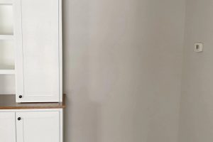 Mercurial SW 9550 Paint Color by Sherwin Williams
