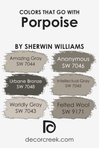 Porpoise SW 7047 Paint Color by Sherwin Williams - DecorCreek