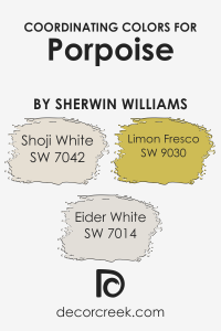 Porpoise SW 7047 Paint Color by Sherwin Williams - DecorCreek