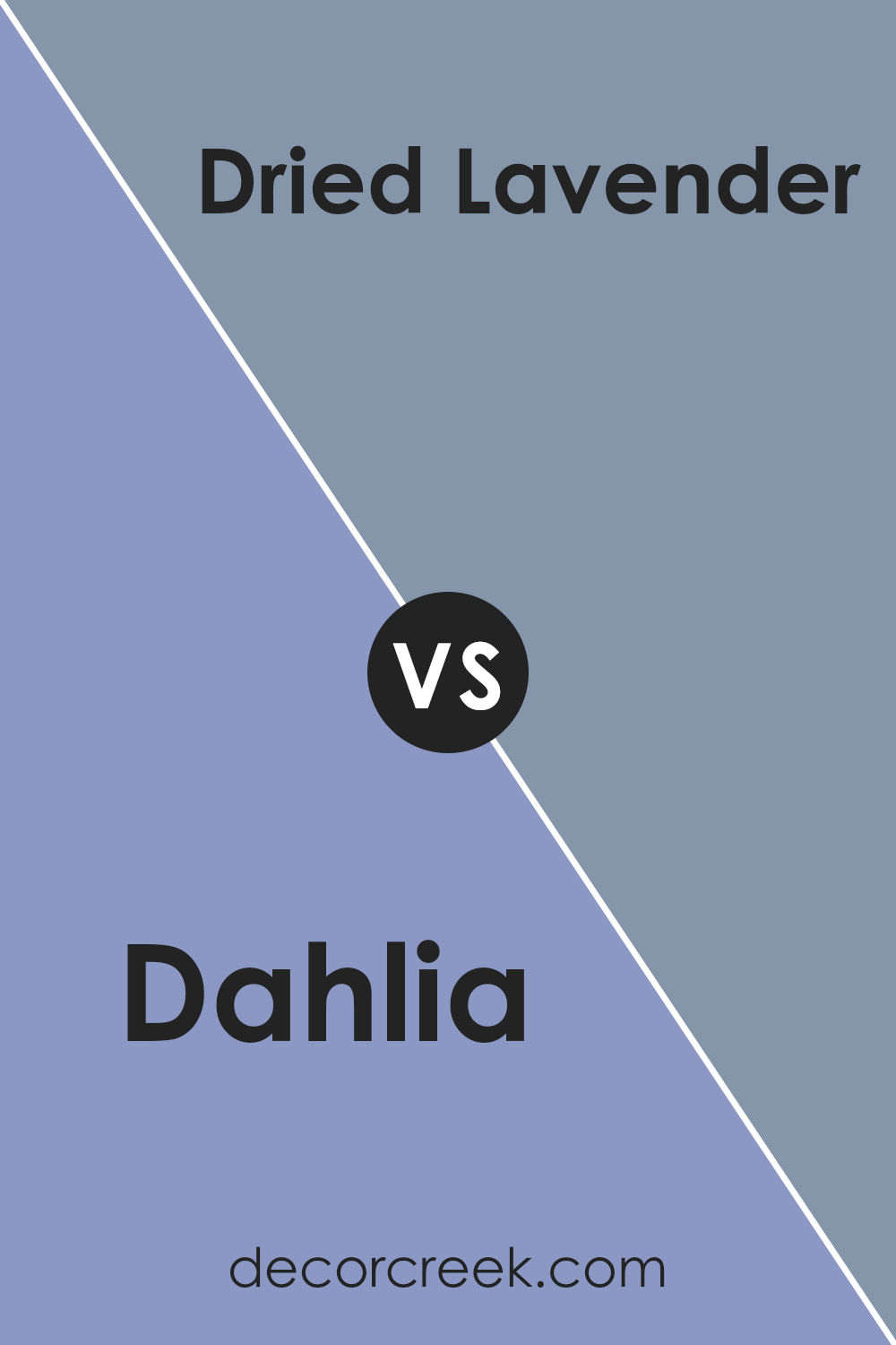 dahlia_sw_6816_vs_dried_lavender_sw_9072