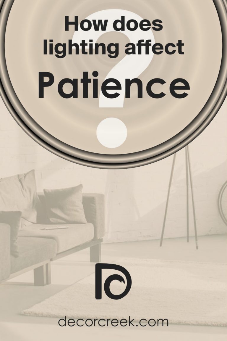 Patience SW 7555 Paint Color by Sherwin Williams - DecorCreek