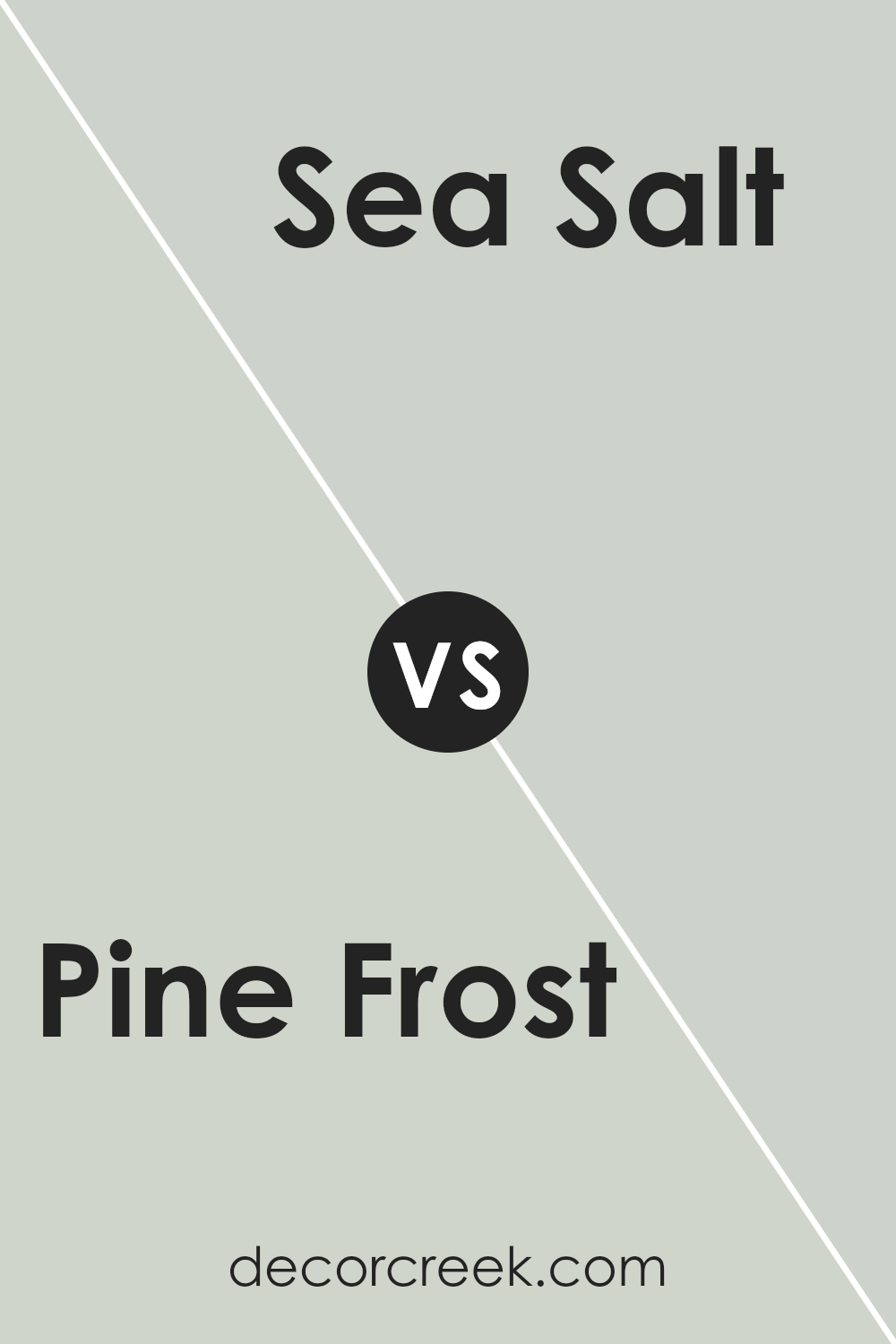 pine_frost_sw_9656_vs_sea_salt_sw_6204