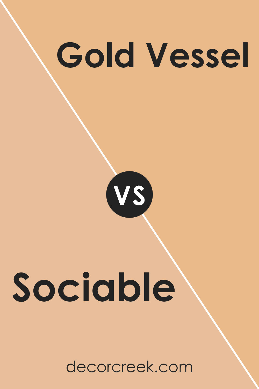 sociable_sw_6359_vs_gold_vessel_sw_7677