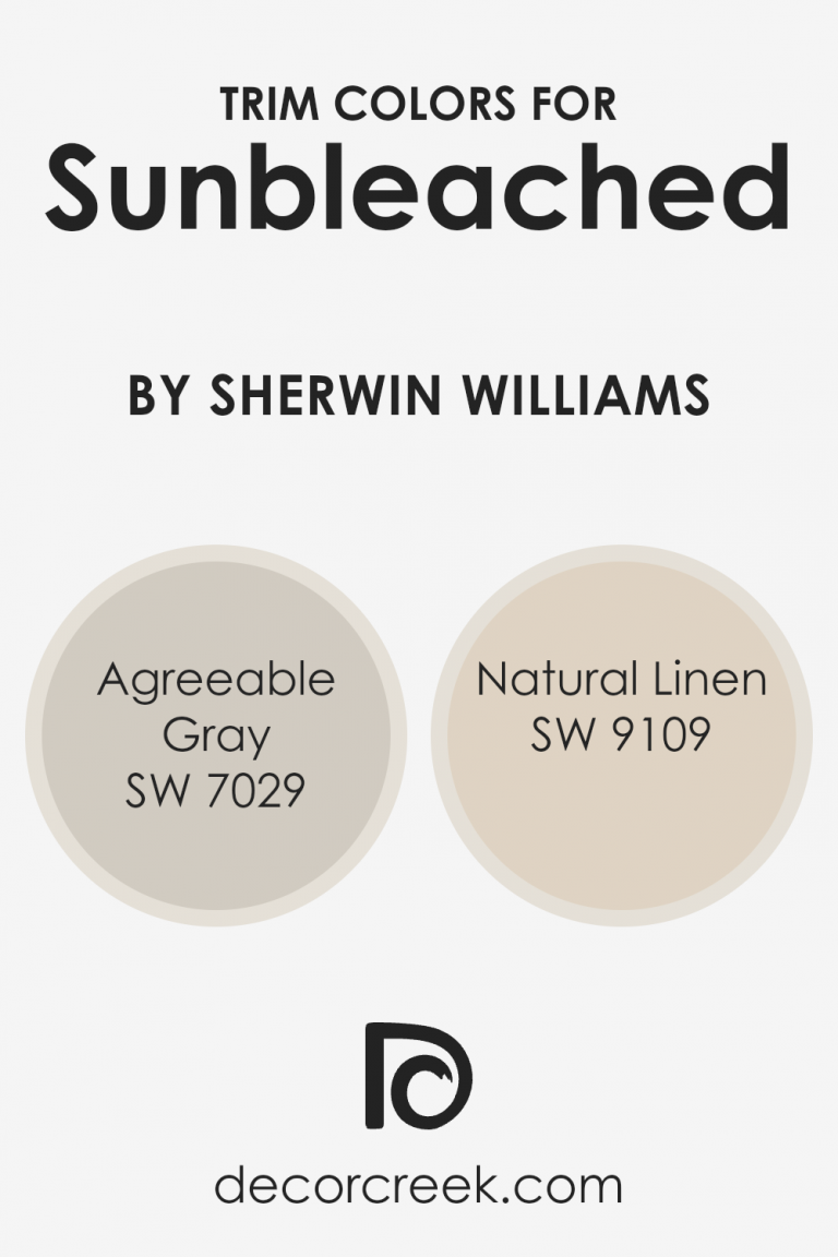 Sunbleached SW 9585 Paint Color by Sherwin Williams - DecorCreek