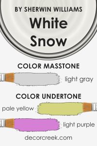 White Snow SW 9541 Paint Color by Sherwin Williams - DecorCreek