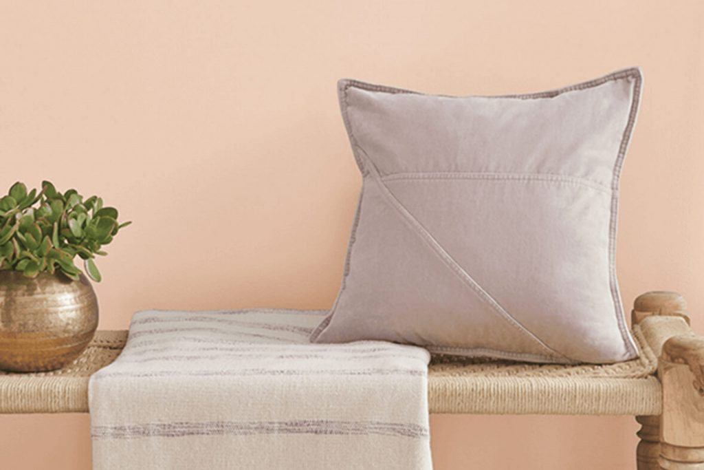 Peach Fuzz SW 6344 Color by Sherwin Williams