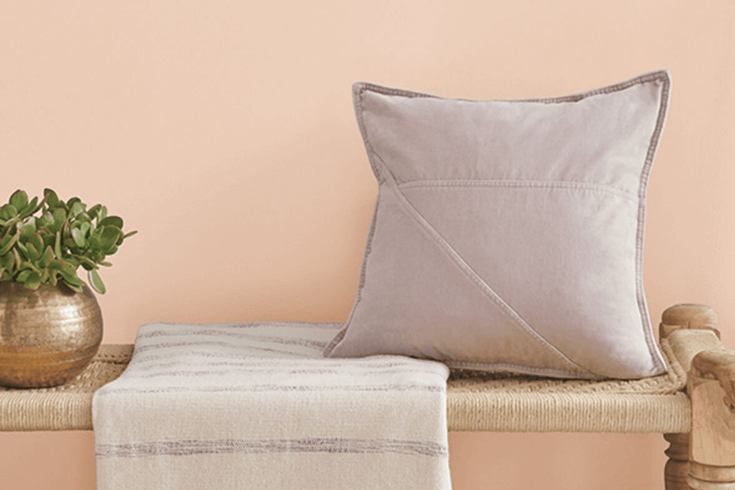Peach Fuzz SW 6344 Color by Sherwin Williams