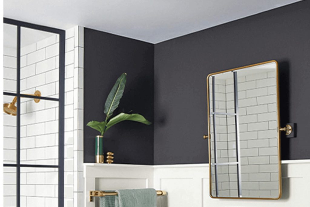 Perle Noir SW 9154 Paint Color by Sherwin Williams