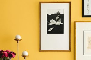 Rayo de Sol SW 9020 Paint Color by Sherwin Williams