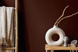 Rojo Marron SW 9182 Paint Color by Sherwin Williams